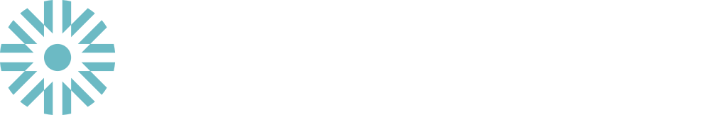 Logo APAPI